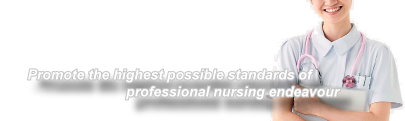 Promot the highest possible standards of professional nursing endavour